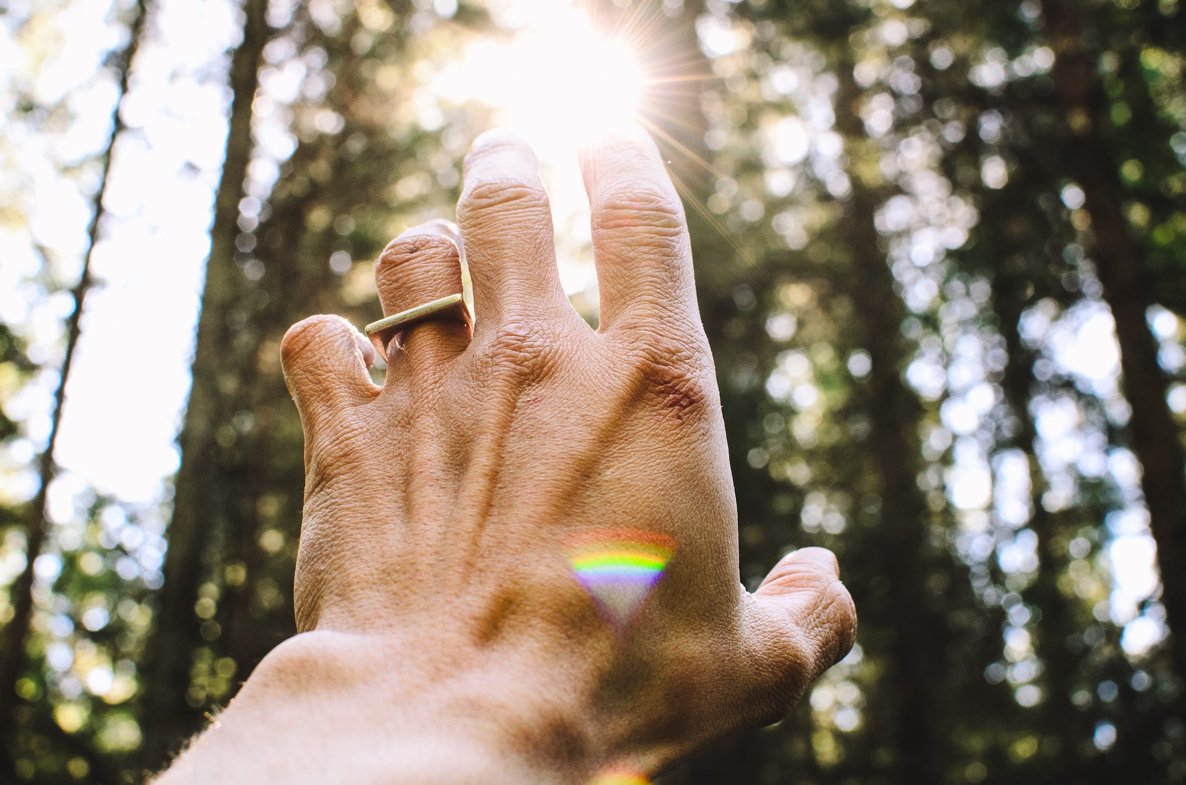 healing hand sunlight